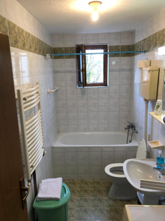 Apartman Djina Vrnjačka Banja Exteriér fotografie